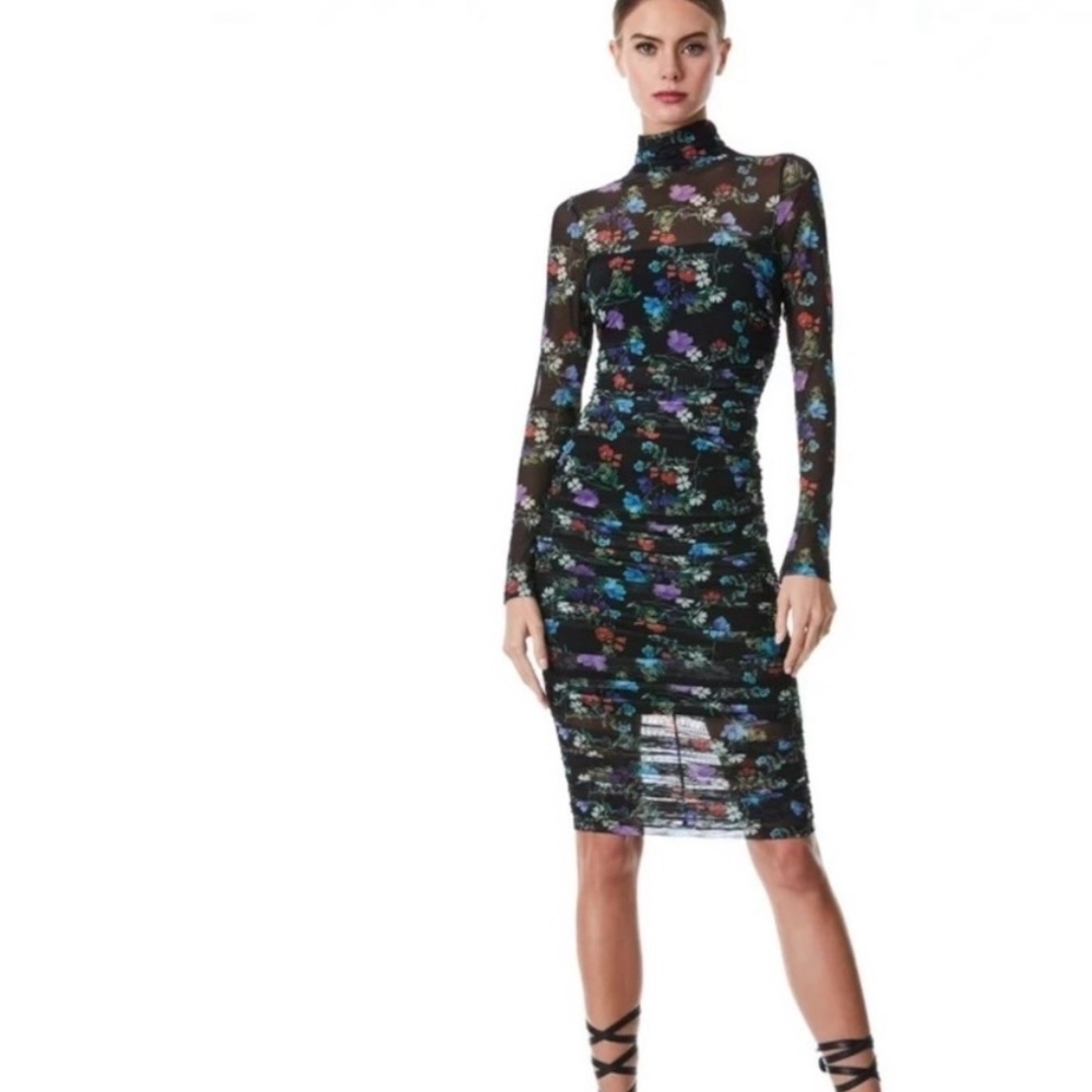 Alice and Olivia Floral Mesh Long Sleeve Dress